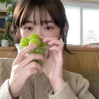 护照
